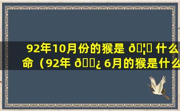 92年10月份的猴是 🦈 什么命（92年 🌿 6月的猴是什么命 五行属什么）